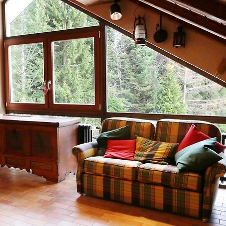 Fewo Schwarzwaldblick, 3 Schlafzimmer Todtnau-Muggenbrunn, Liftverbund Feldberg Ngoại thất bức ảnh