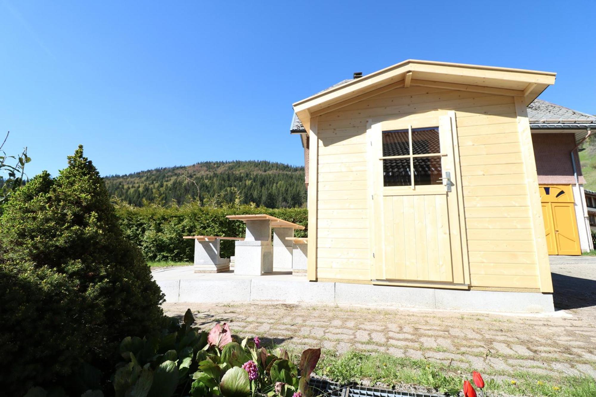 Fewo Schwarzwaldblick, 3 Schlafzimmer Todtnau-Muggenbrunn, Liftverbund Feldberg Ngoại thất bức ảnh
